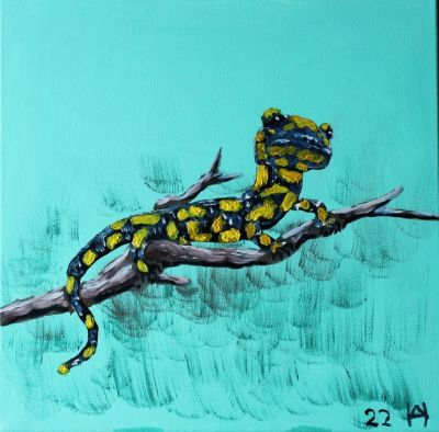 Feuersalamander 