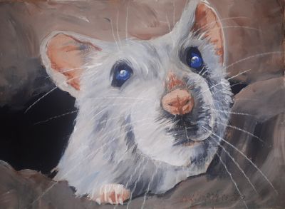 Portrait Maus