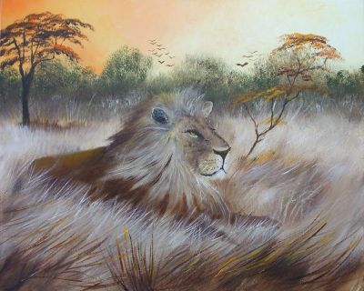 " Sonnenbad in Afrika"