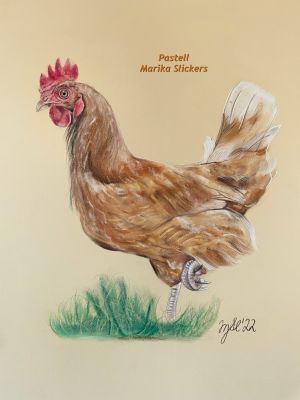 braunes Bovan Huhn