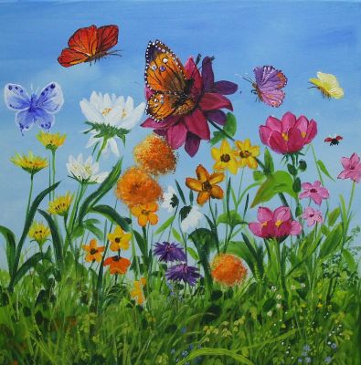 -schmetterling-wiese