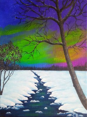 Polar Night!