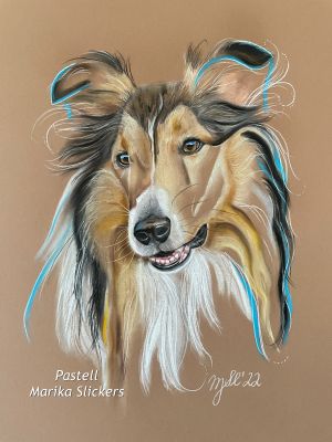 langhaarcollie-lassie-collie
