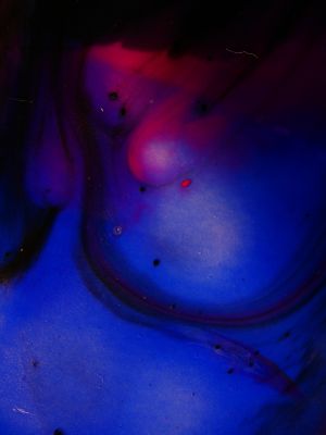 Cosmos Blue