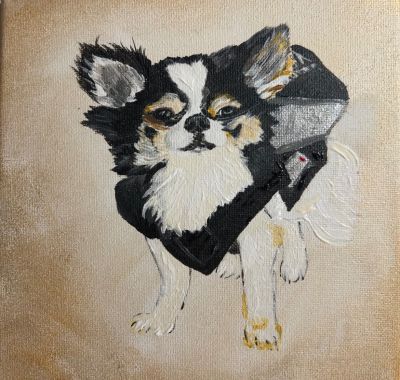 chihuahua-dame