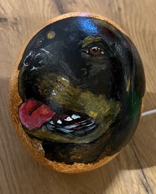 Rottweiler 