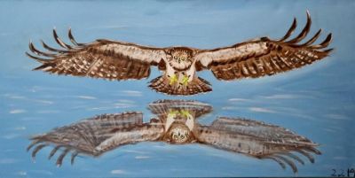 seeadler-im-anflug