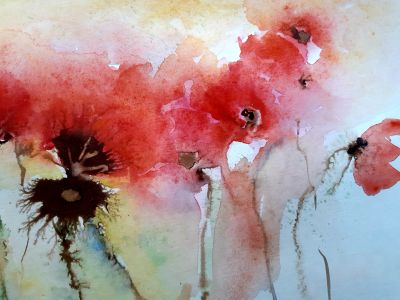 mohn