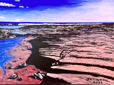Sea and rocks