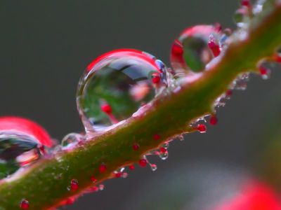 guggst-du-nur-oder-sprichst-du-auch