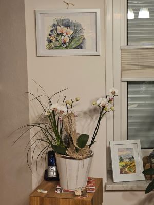 Orchideenbild