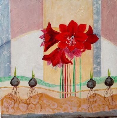 Amaryllis
