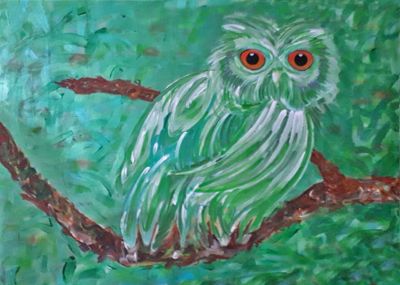 Eule In Wald