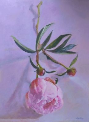 Peony