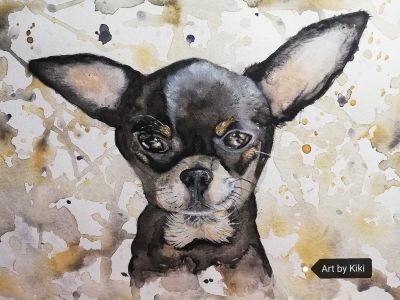 Chihuahua