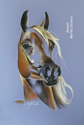 Gesamtsiegerin 2023, des Zeichenwettbewerbes, Staufen Edition Dürer, Marika Slickers