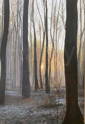 winterwald3