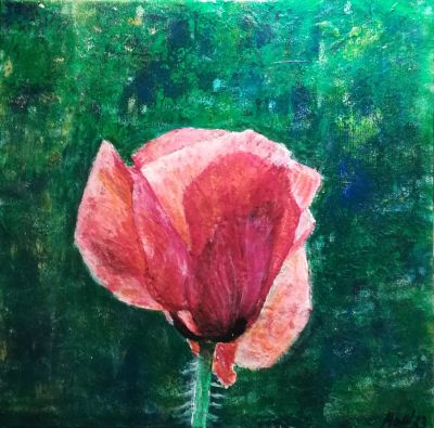 Poppy 1
