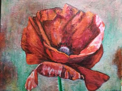 poppy-2