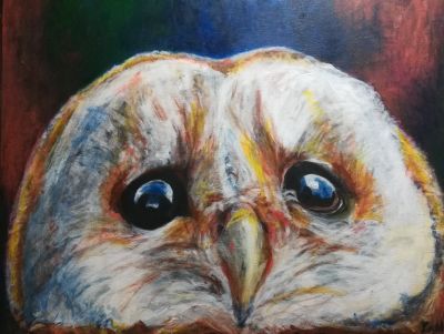 Owl eyes