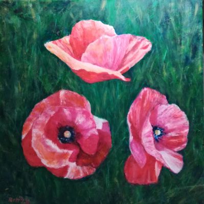 Poppies 