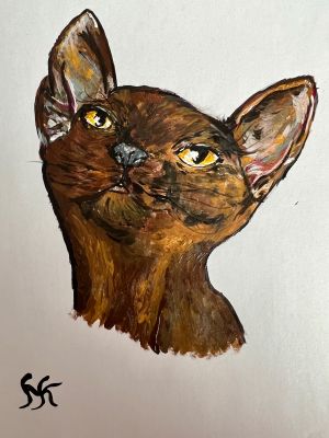 Portrait einer Katze