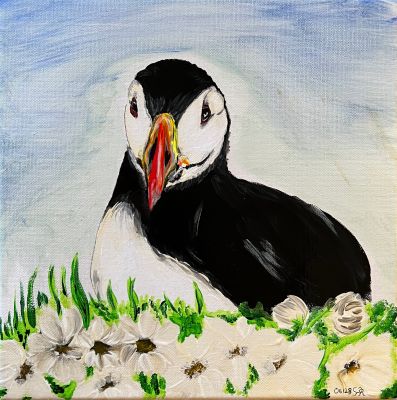 Portrait eines Papageientaucher