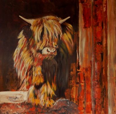 highland-cows-hochlandrind-