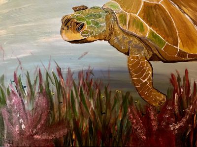 Schildkröte im Korallenriff 