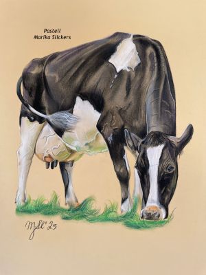Milchkuh auf der Weide