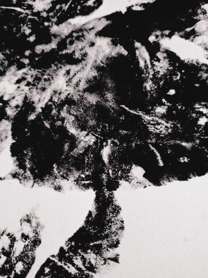 Image x