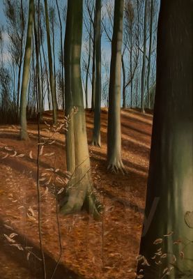Waldspaziergang
