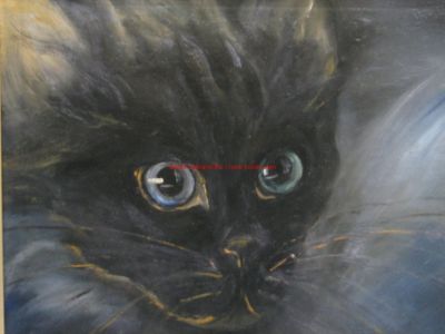 Siamkatze Portait